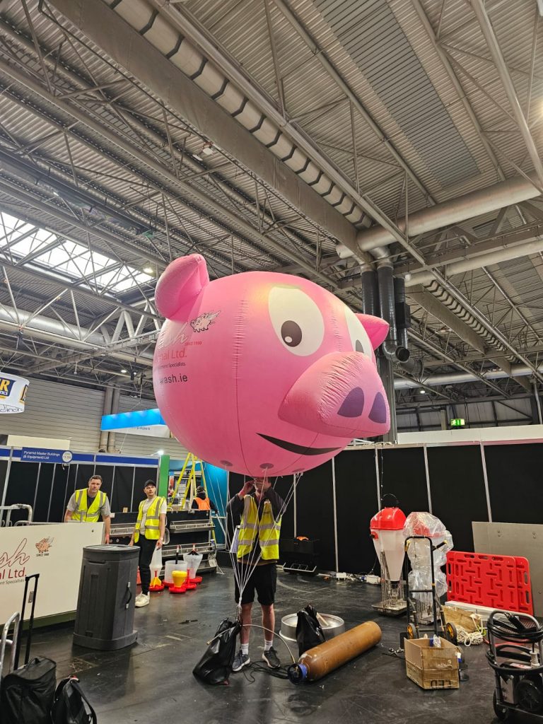 Inflatable Pig, Pig Sphere, Helium Inflatable, Inflatable Advertising, Exhibition Inflatable, Exhibition Balloon